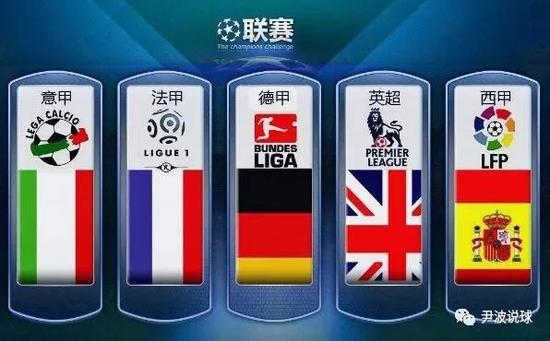 费南多因伤